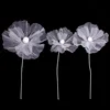 White Flower Head