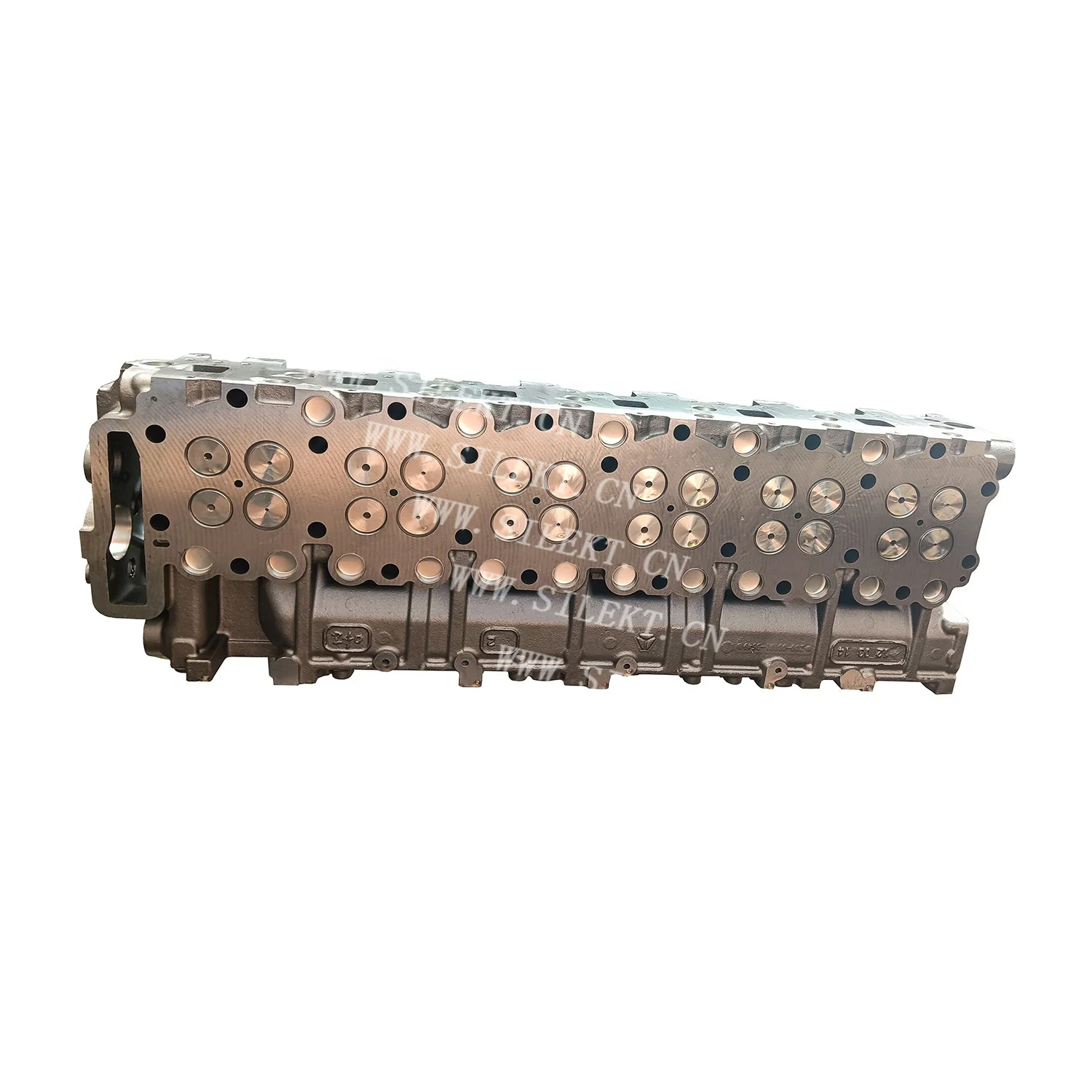 D2066 D2676 Cylinder Head Assembly for MAN Auto Engines