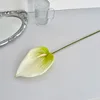 Bianco Verde