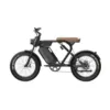 K5-48V-750W15Ah