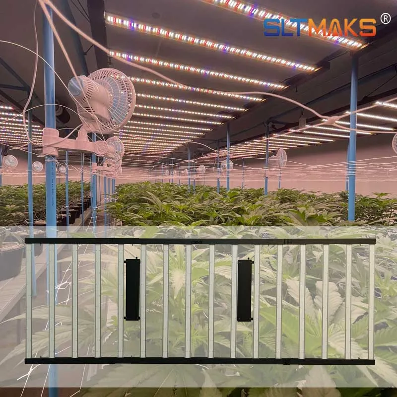 Agricultural Led Grow Lamps 4x10Ft 1600W Samsung Lm281b Lm301b Lm301h Evo 1500W 1600W Led Grow Light Full Spectrum