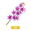 10 orquídeas Cymbidium, moradas