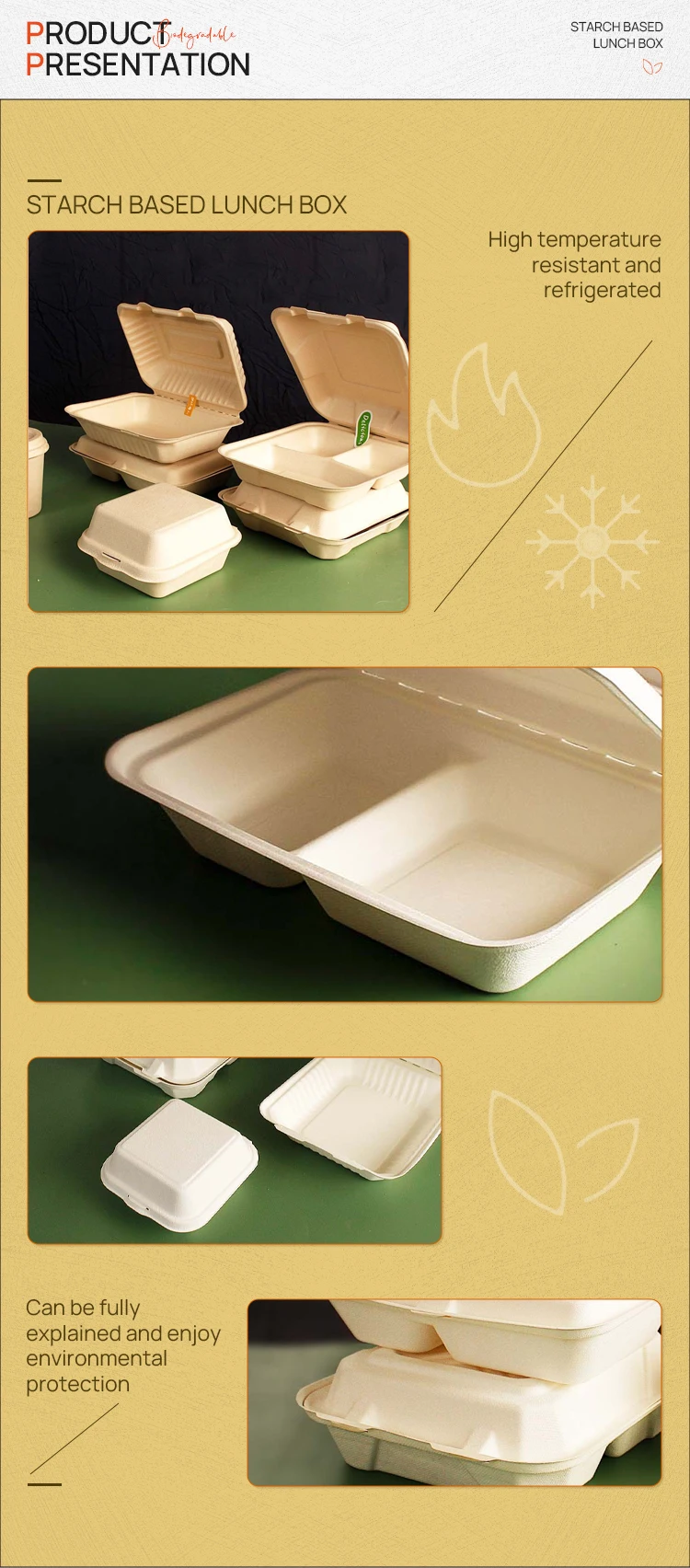 Disposable 100% Biodegradable Take Away Bagasse Sugarcane Fiber Pulp ...