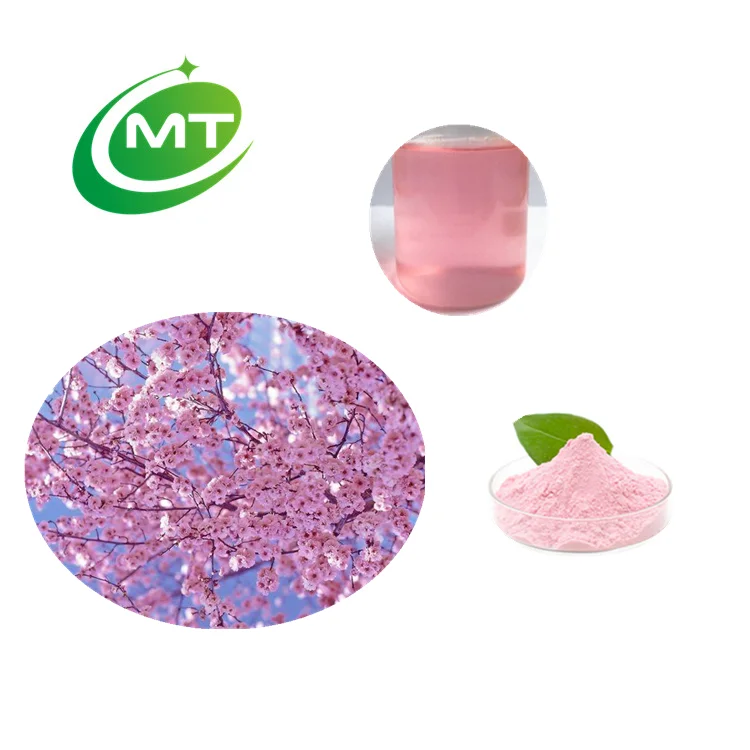 Iso Free Sample 100 Nature Organic Sakura Oriental Cherry Blossom