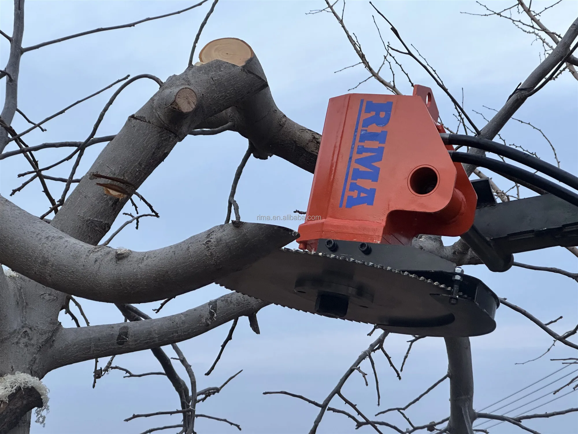 Rima Hydraulic Saw Head For Excavator Tree Saw Mulcher Buy Excavator