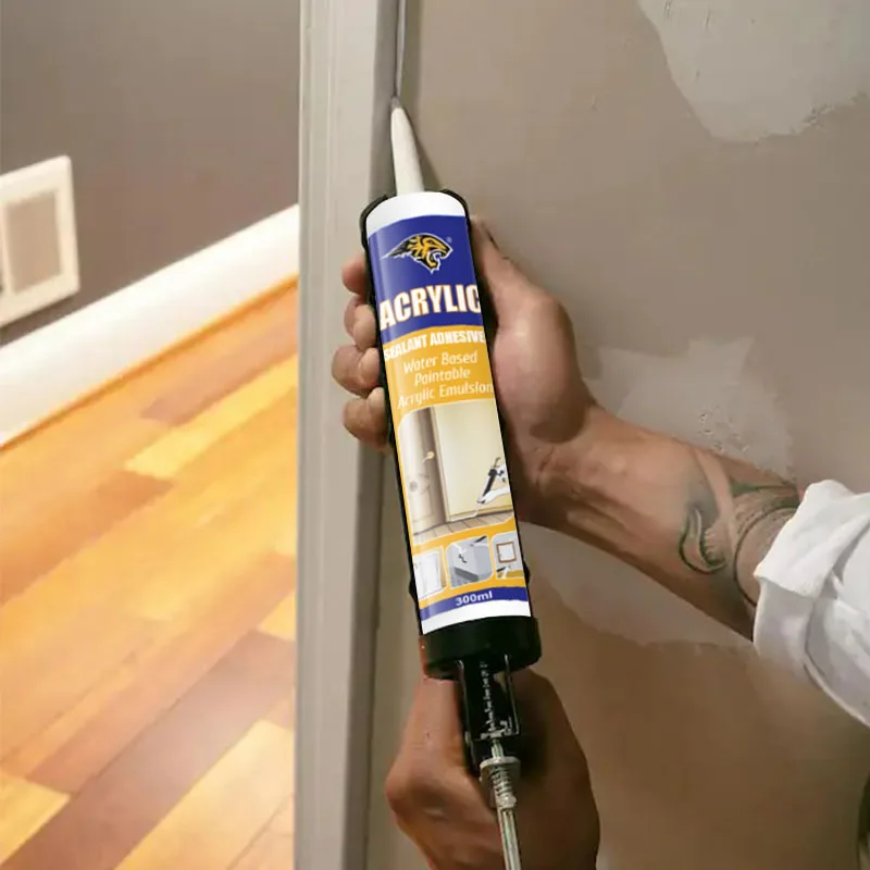 Mastic Acrylic Sealant Repairing Caulking Around Windows Filler