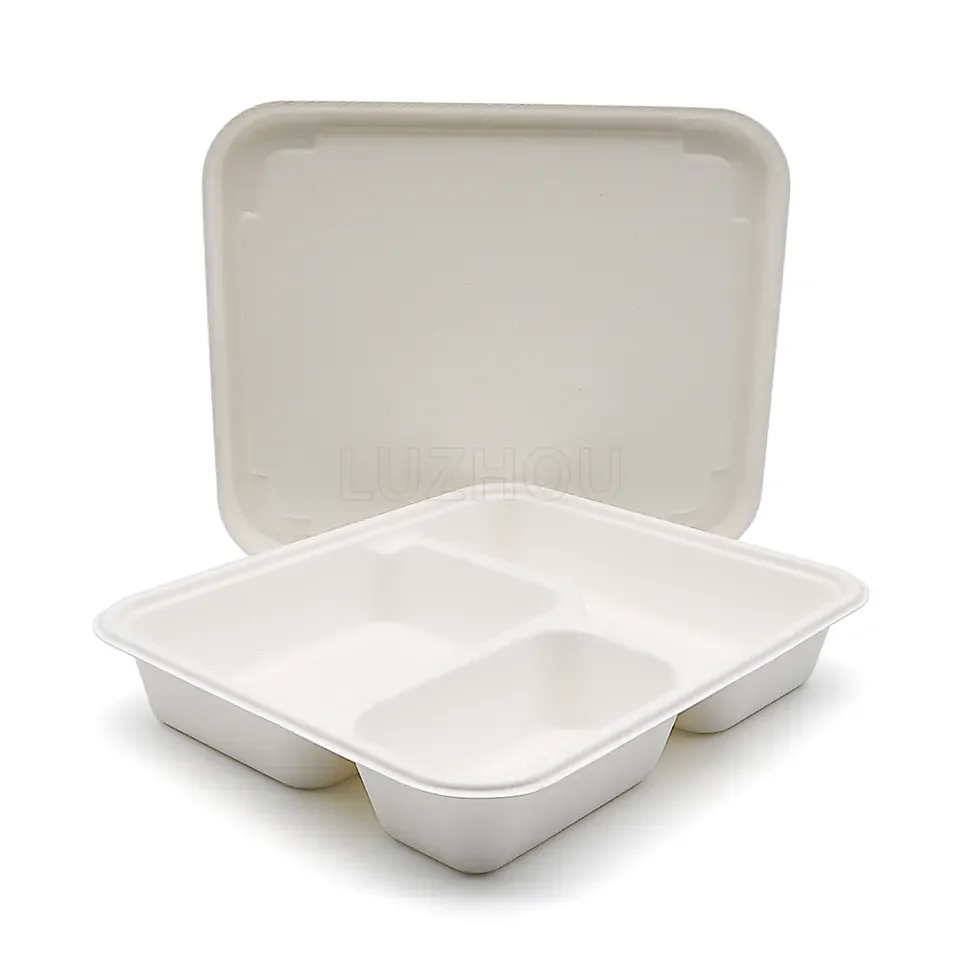 Oasis Large 4 Compartments Disposable Biodegradable Square Tray Compostable Sugarcane Bagasse Food Tray for Camping