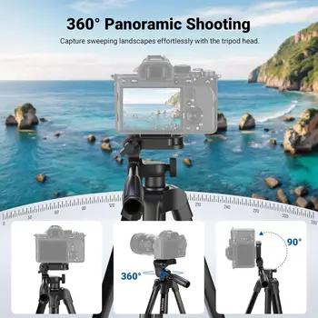 NEEWER Entry Level Version Tripod for Cell Phone & Camera, Metal Lightweight Portable Travel Stand with Cold Shoe Cellphone detail image