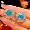 Navy blue ear studs