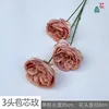 3-headed burl rose YB 11 autumn brown