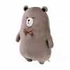 custom pillow plush