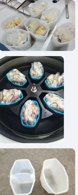 Floor Standing Refrigerated Centrifuge with -20°C to +40°C Cooling Low Noise ≤65dB and Stainless Steel Panel for Blood Bank Applications