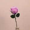 สีม่วง