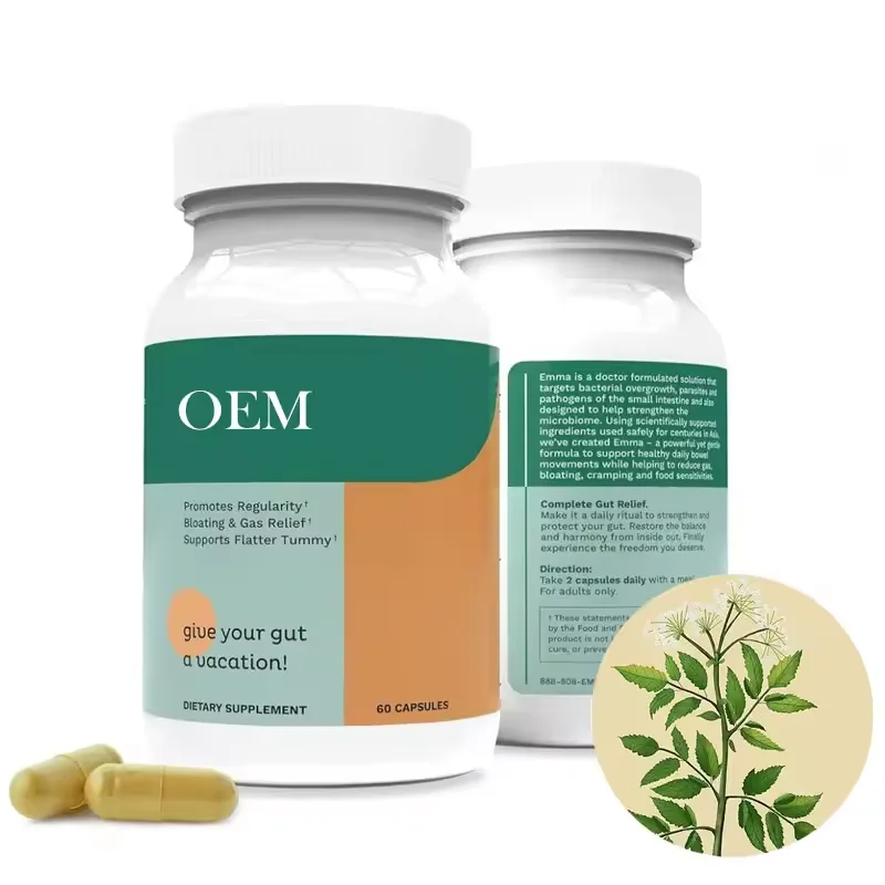 Advanced Gut Health Supplement 15 Day Cleanse Detox Gut Health Capsules with Probiotics