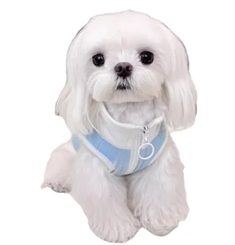 Hot Selling Summer Velvet Vest for Little Pets Ins Wind Inspired Pet Clothing