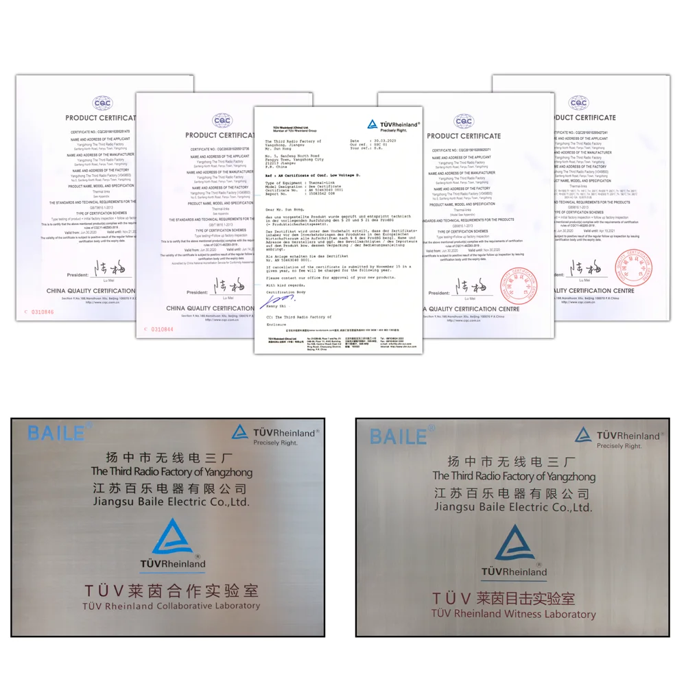 BAILE RY Series Thermal Fuse RY72 10A 110V 250V