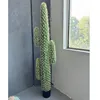 Colonne féérique épineuse vert-jaune 170cm
