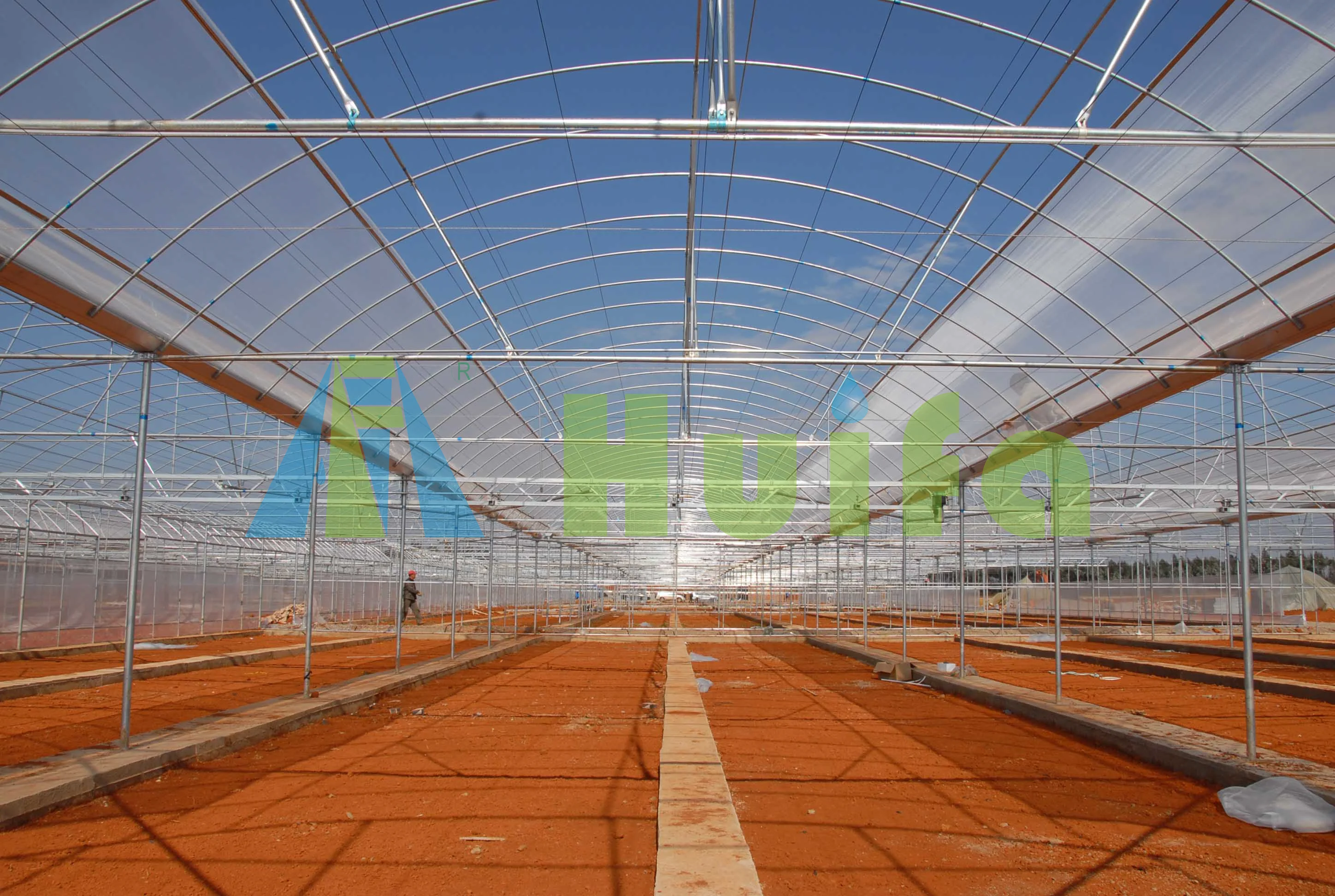 Factory Price Agriculture multi span plastic film covered greenhouse on sale