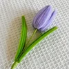 #3 purple tulip