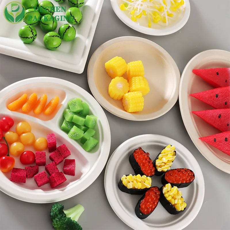 12 inch Dinner Plates Disposable