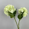 Verde chiaro