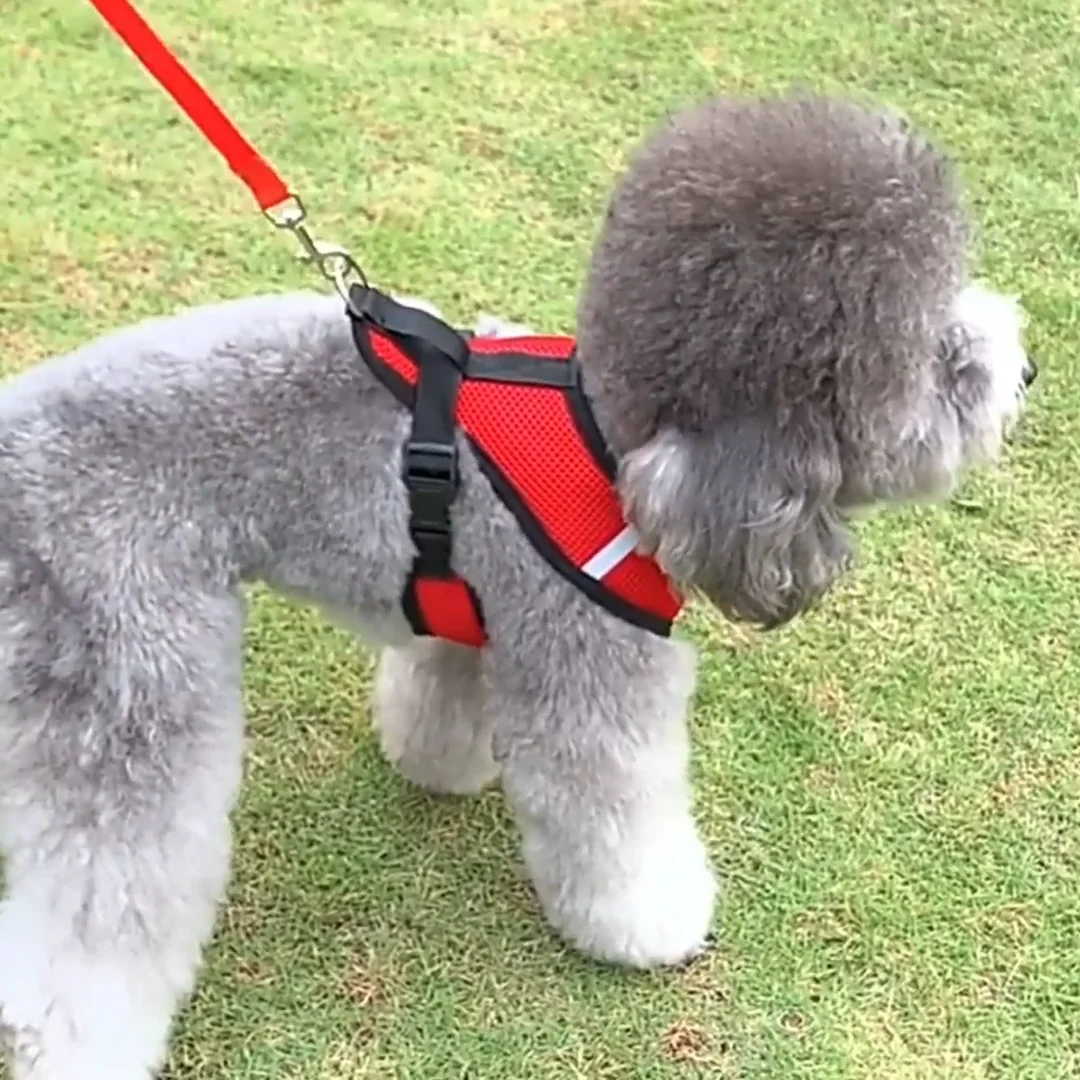 Cat Dog Harness Adjustable Vest Walking Lead Leash For Puppy Designer
