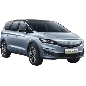 Geely Ruilan maple leaf 80v Pro adult Car Adult MPV High Speed New design Vehicles electric car