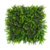 Alga de hoja de arce