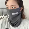 Masque facial réfléchissant, gris foncé