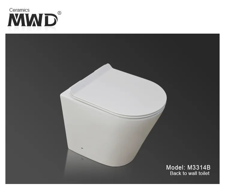 Ceramic Toilet Bowl Wc Floor Mounted Installation Concealed Cistern