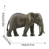 4905 elefante hembra africano-2375g