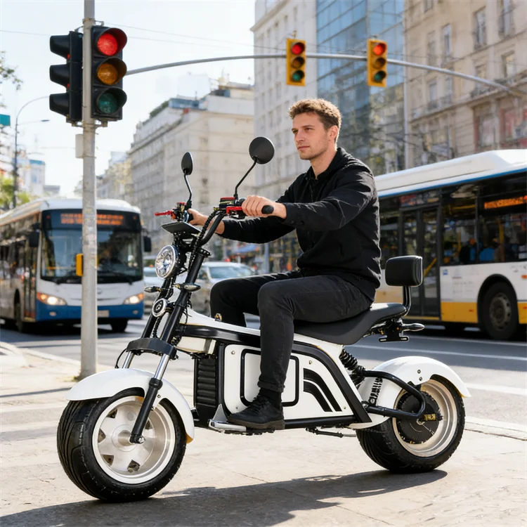 Electric Motorcycle Japan Electric Motorcycle with EEC E Scooter
