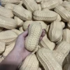 colorful K003 Peanut