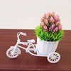 Green-6