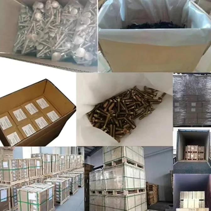 High Quality ISO Forging Steel Container Floor Screw ISO Certified ...