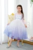 BX1701 blu