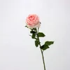 Lulu lianmei-rose-jaune