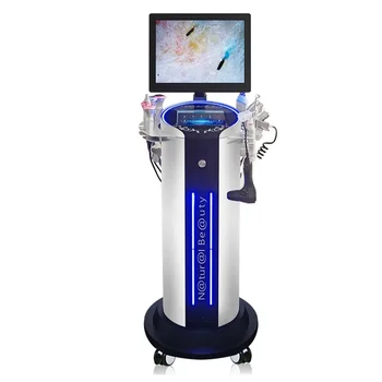 Low Price 10 In 1 Skin Rejuvenation Reduce Fine Lines Commercial Application Facial Skin Care Machine