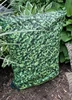 Gardien du jardin