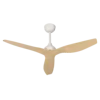 Caqui