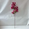 Rose Pink(Head length: 78cm)