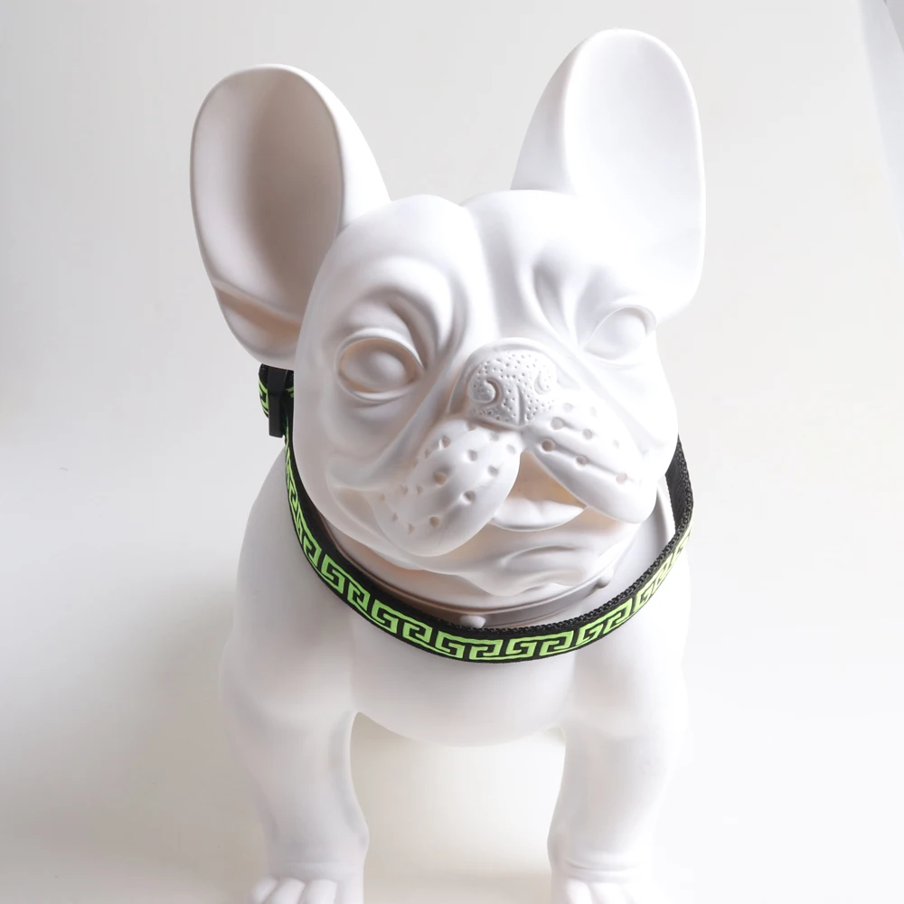 Amigo Factory Wholesale Luxury Fashion Nylon Pet Collar Comfortable