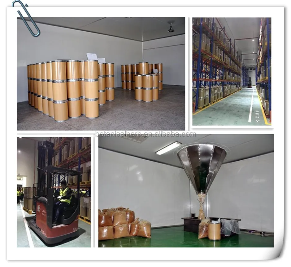 B.C.I Supply Crab Shell Extract Industrial Grade Chitosan Powder Chitin Chitosan for Water Treatment