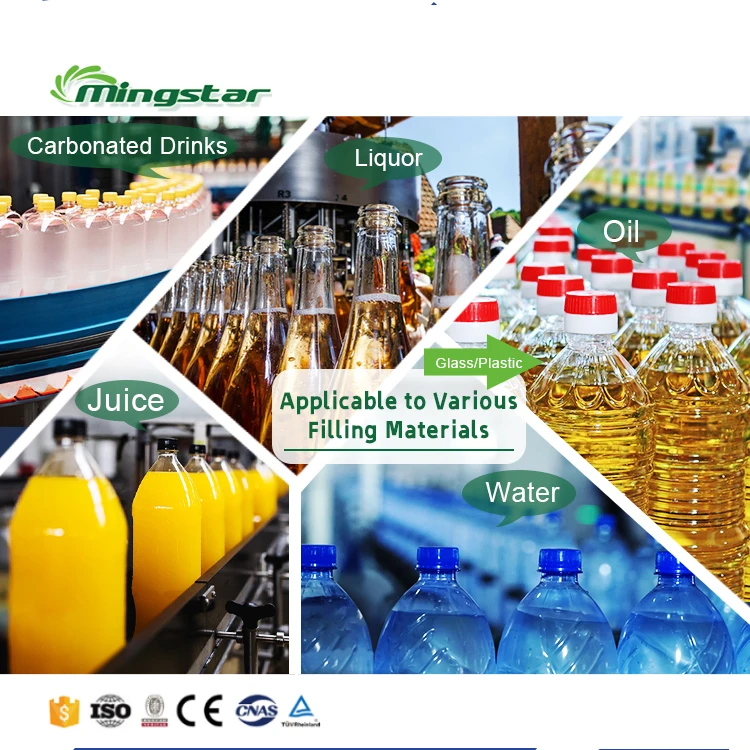Factory Complete Machine Drinking Mineral Water Purification Washing Bottling Filling Capping Production Line for Bottling Plant