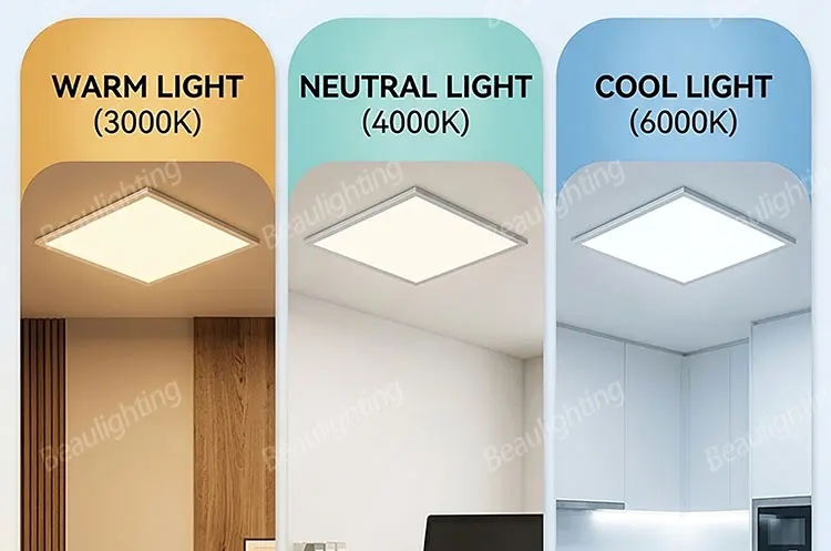 Specifications