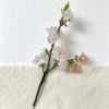 Light Pink (with 8 clusters of 46cm fewer flowers)