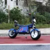Bleu