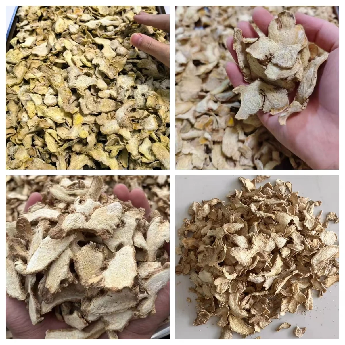 Premium Dehydrated Ginger Flakes | Bulk Wholesale Price Ha2f0905e91b14677bebfbf240e04b1e8N