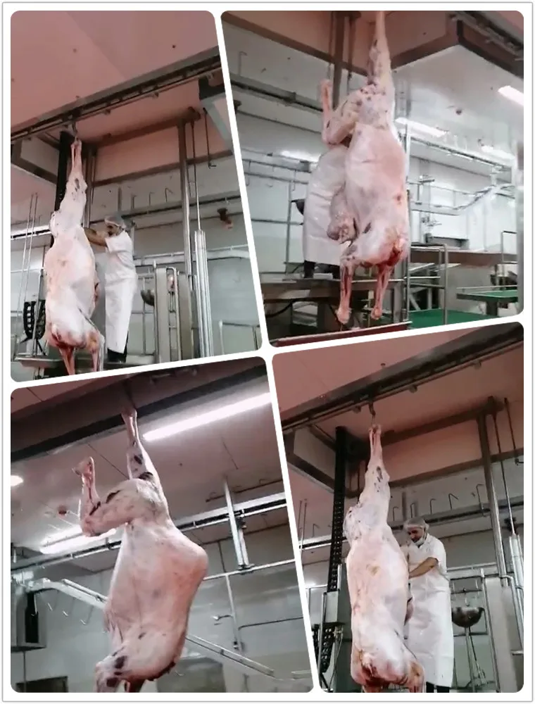Halal camel slaughterhouse and meat processing slaughtering machine