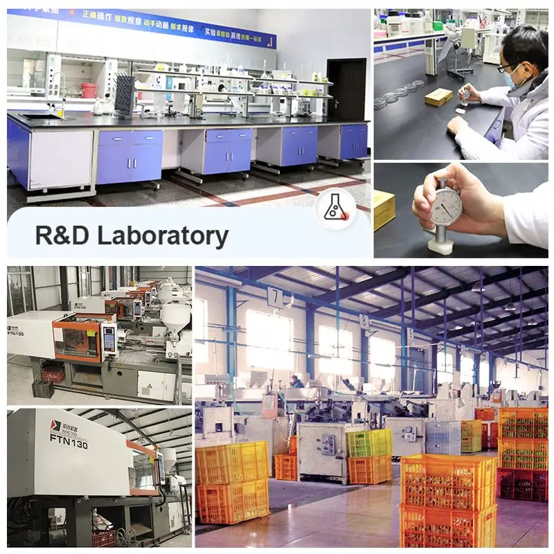 Campus School Stationery Orangutan Cute Animal Forest Friend Eraser Custom